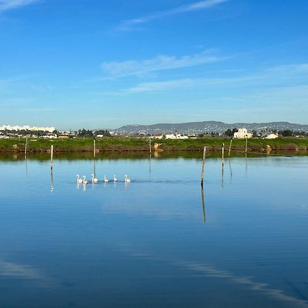 Herdade Dos Salgados Do Fialho Faro Ngoại thất bức ảnh