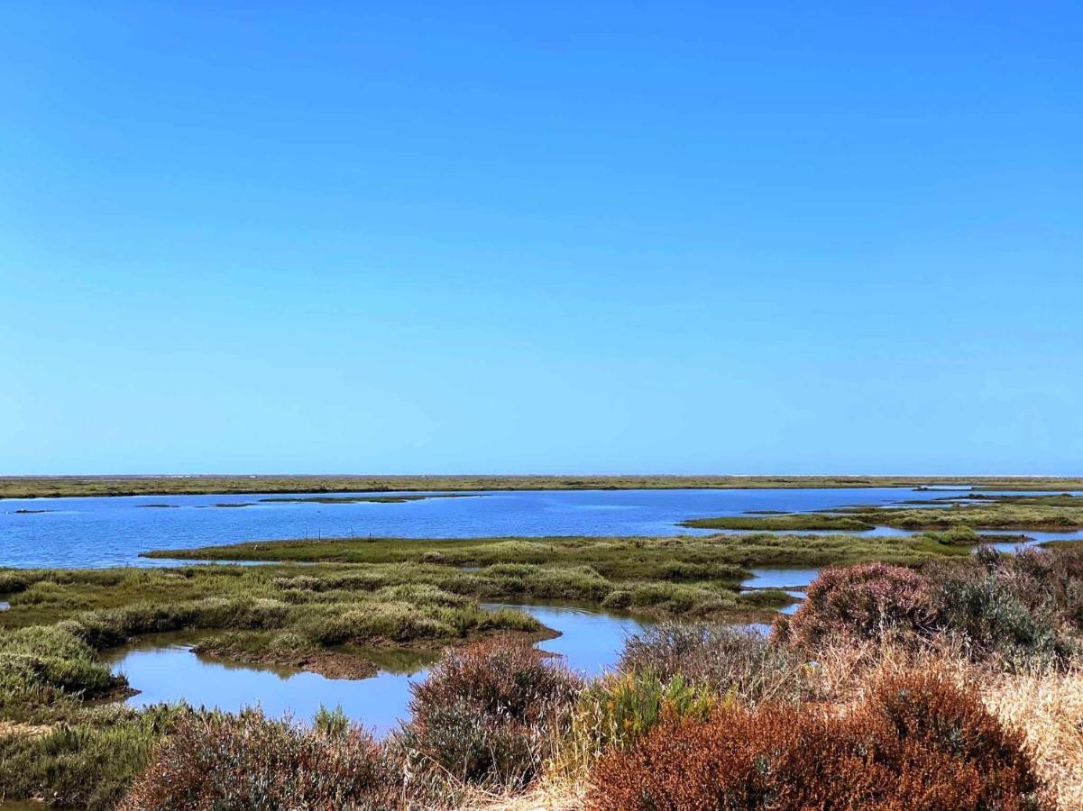 Herdade Dos Salgados Do Fialho Faro Ngoại thất bức ảnh