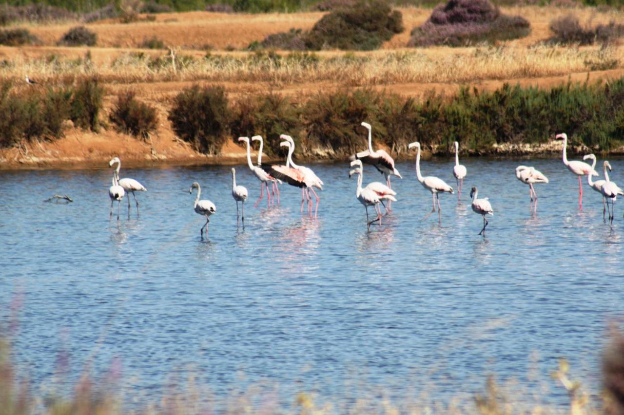 Herdade Dos Salgados Do Fialho Faro Ngoại thất bức ảnh