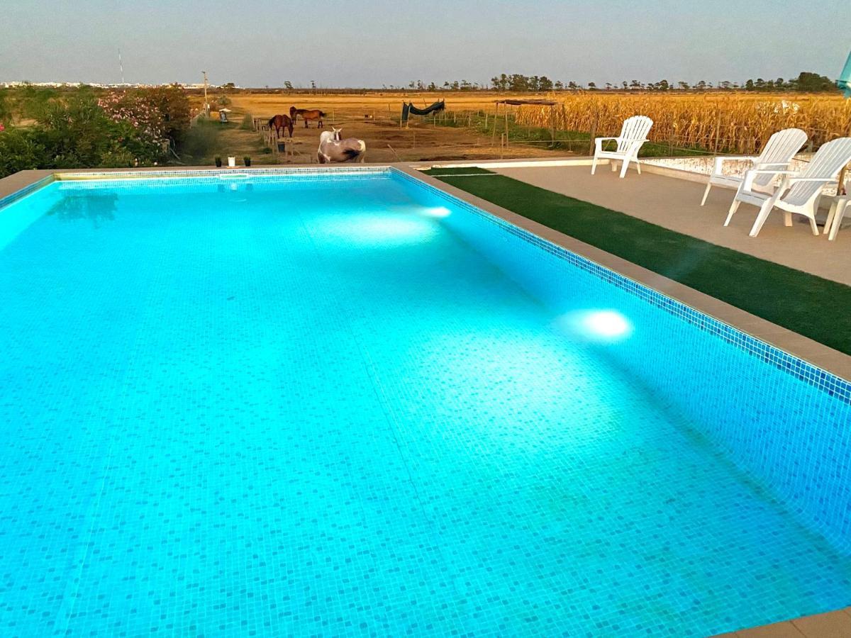 Herdade Dos Salgados Do Fialho Faro Ngoại thất bức ảnh