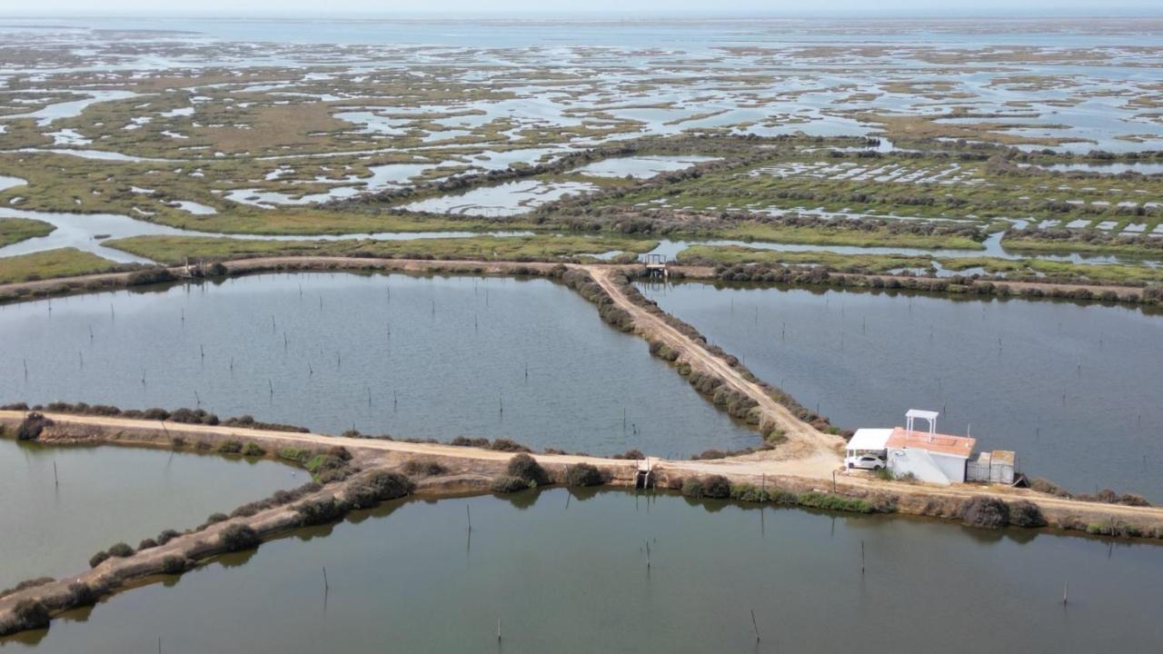Herdade Dos Salgados Do Fialho Faro Ngoại thất bức ảnh