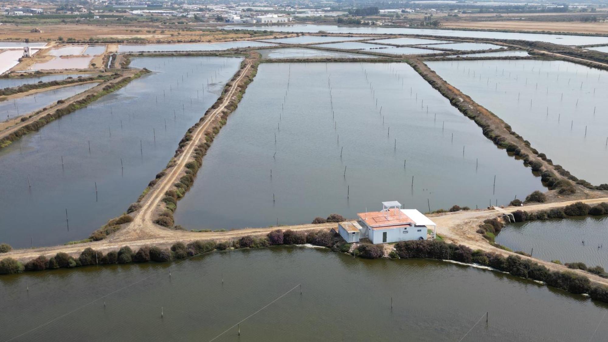 Herdade Dos Salgados Do Fialho Faro Ngoại thất bức ảnh