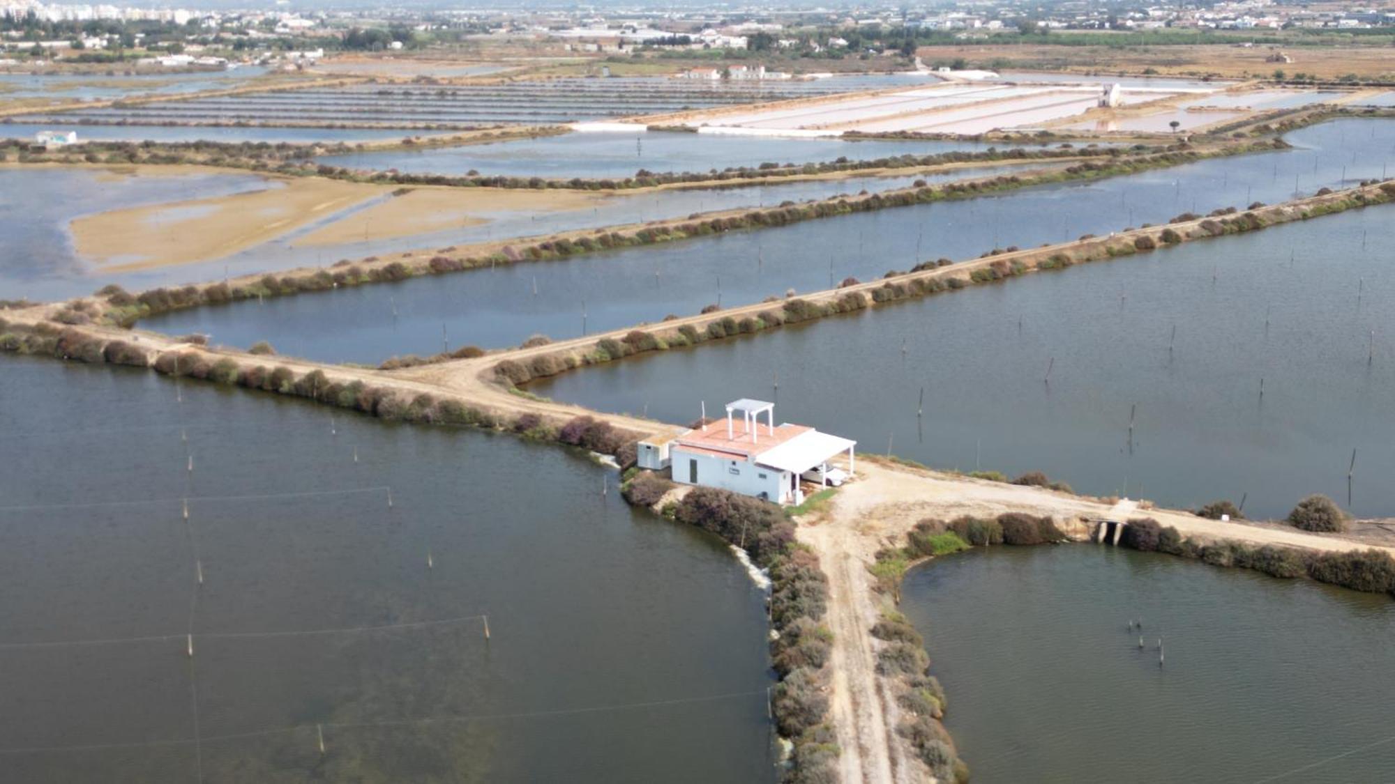 Herdade Dos Salgados Do Fialho Faro Ngoại thất bức ảnh