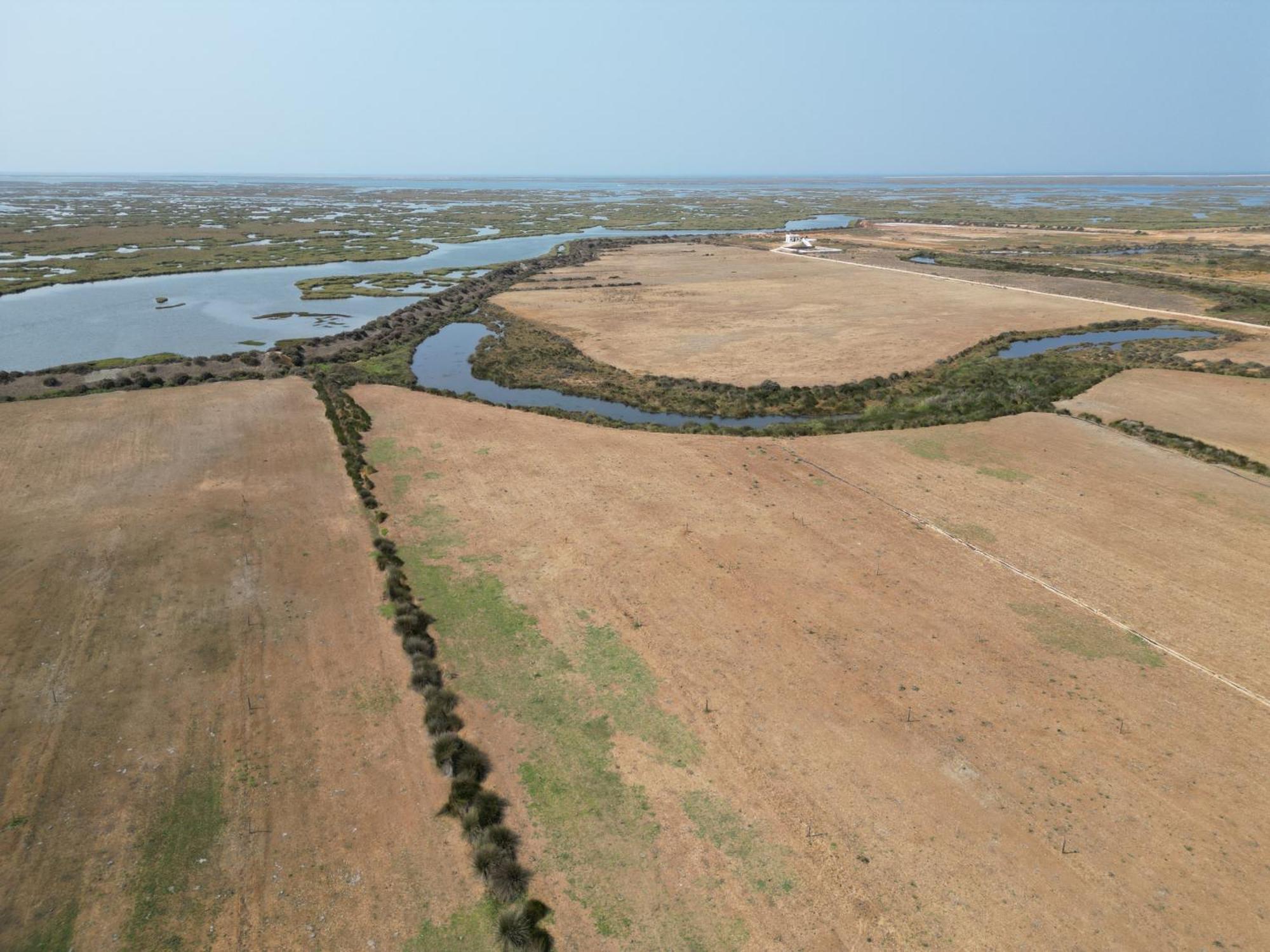 Herdade Dos Salgados Do Fialho Faro Ngoại thất bức ảnh