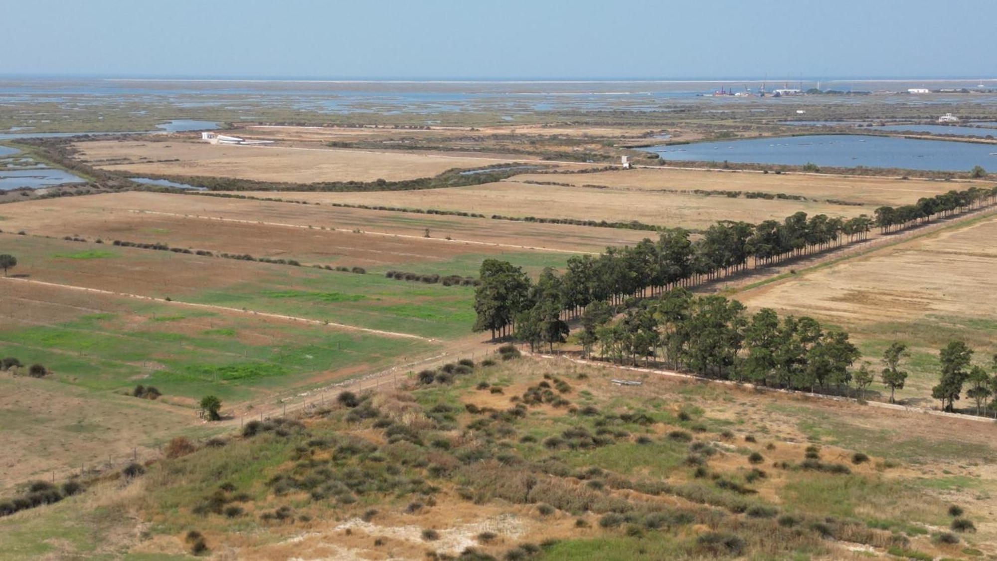 Herdade Dos Salgados Do Fialho Faro Ngoại thất bức ảnh