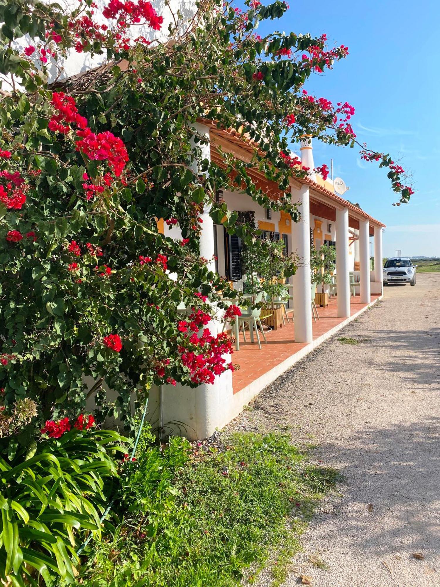 Herdade Dos Salgados Do Fialho Faro Ngoại thất bức ảnh